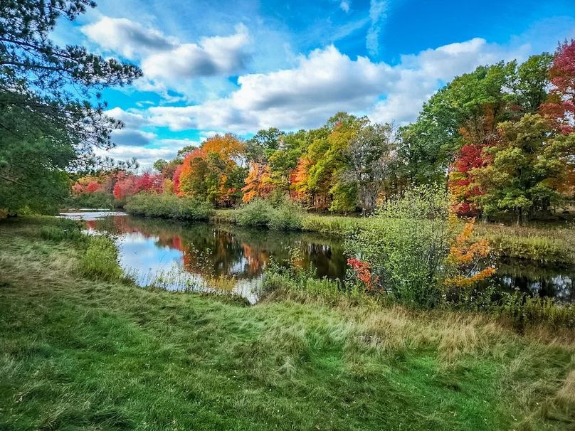 Adams 263.17, Hale -11