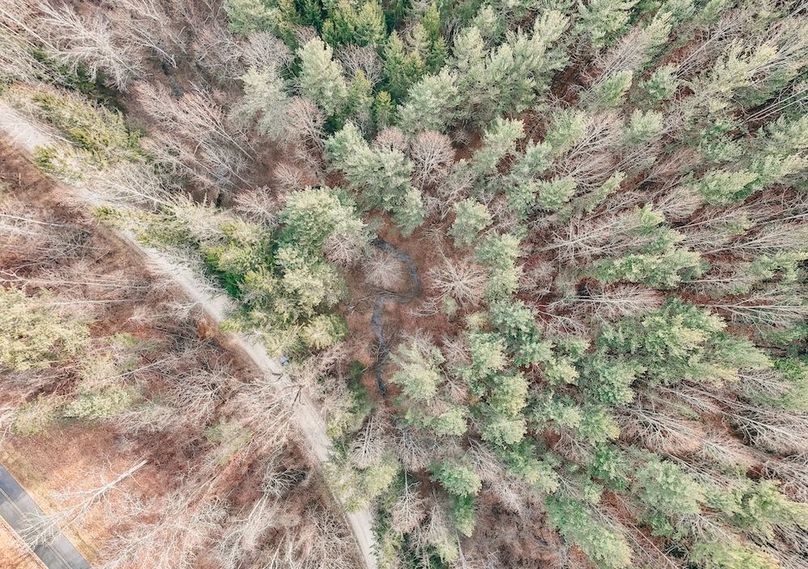 DJI_20260116095454_0031_D