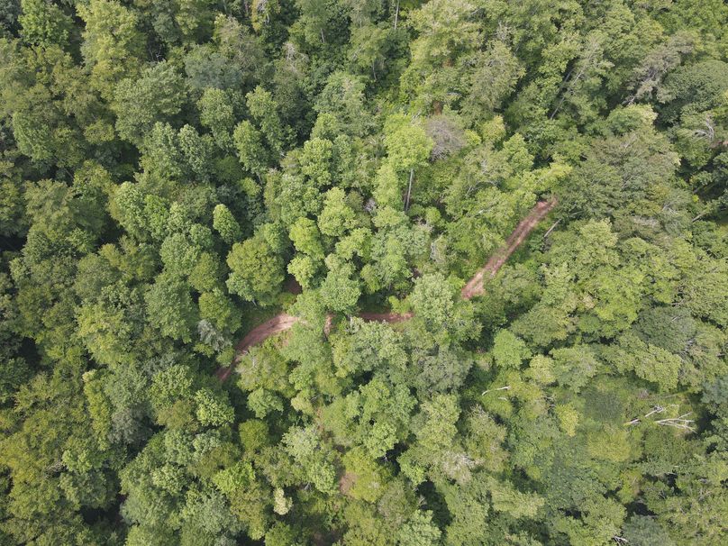 Swain 39 Tysinger-17