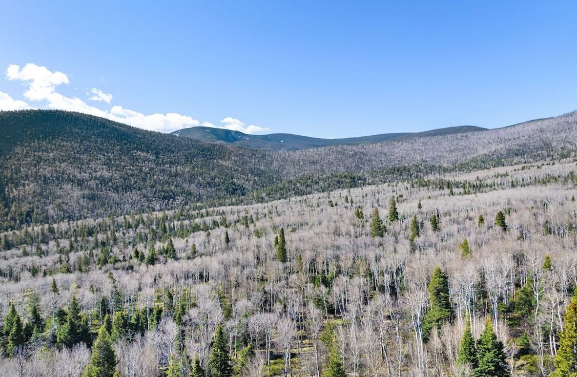 DJI_20250516081217_0036_D