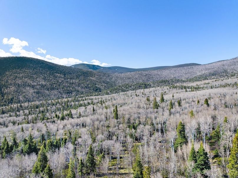 DJI_20250516081217_0036_D