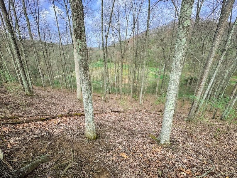 Ritchie, WV 206.08 AC Curriden-67
