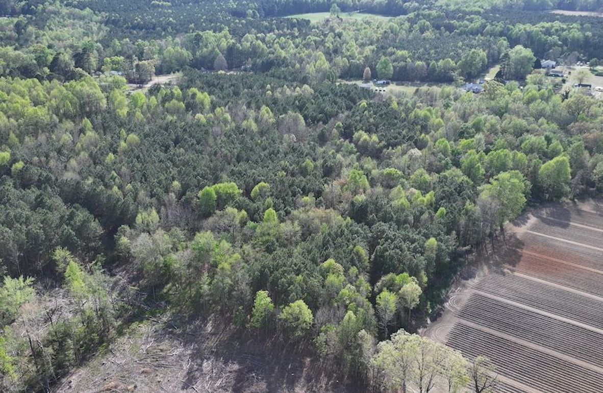 dji_fly_20260330_090722_0563_1774989422514_photo