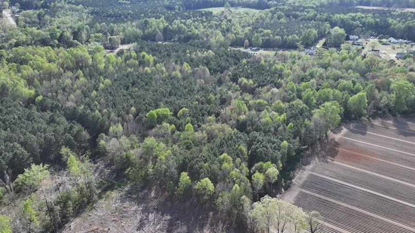 dji_fly_20260330_090722_0563_1774989422514_photo