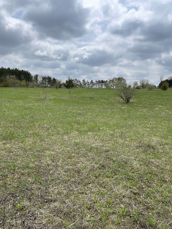 St.Croix4.56Conway-012