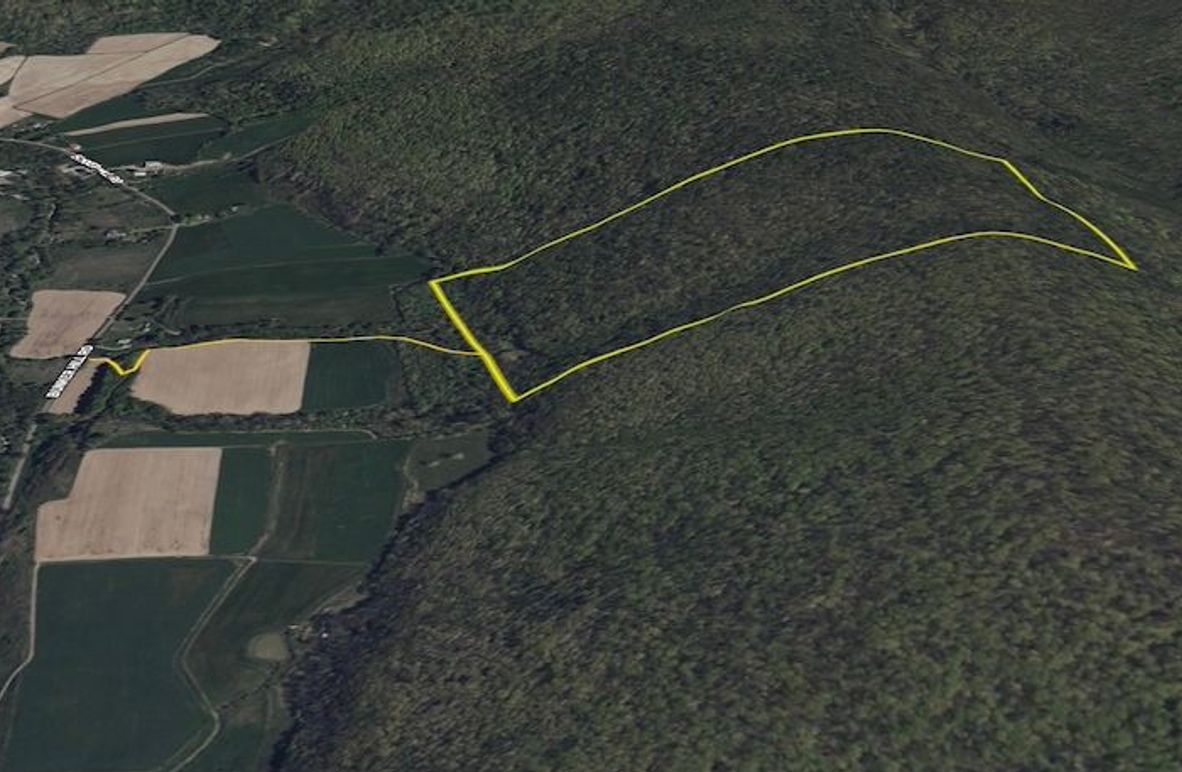 Screenshot 2025-04-25 at 8.01.09 PM