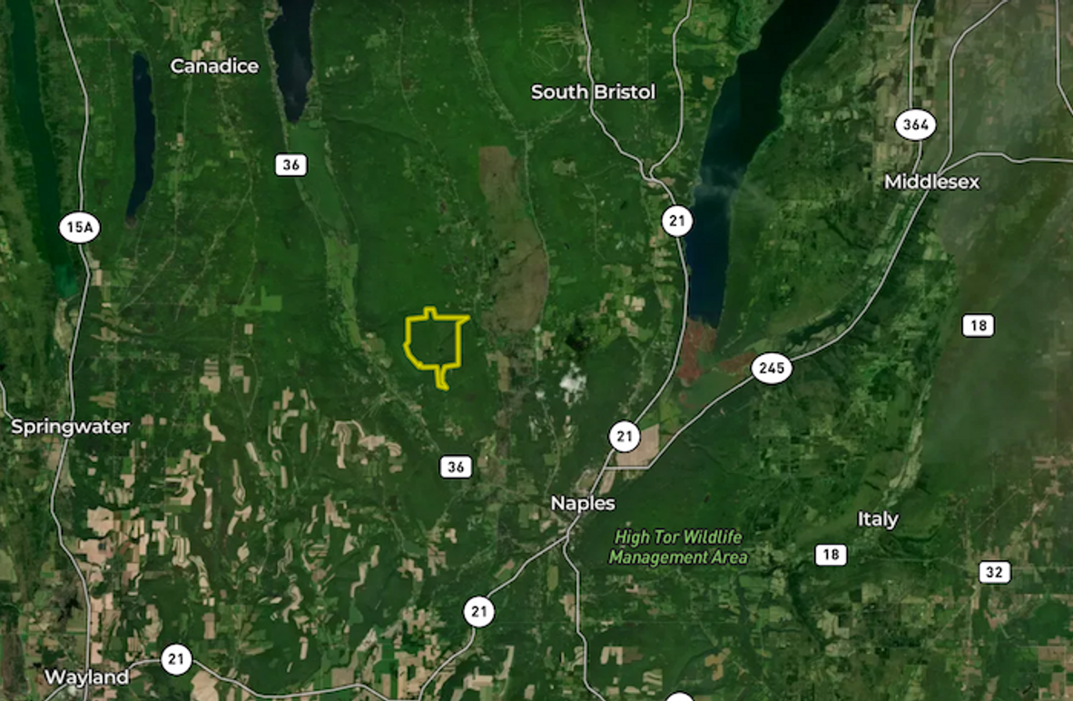 Ontario_606.7_Farm East_Landid_Aerials_9