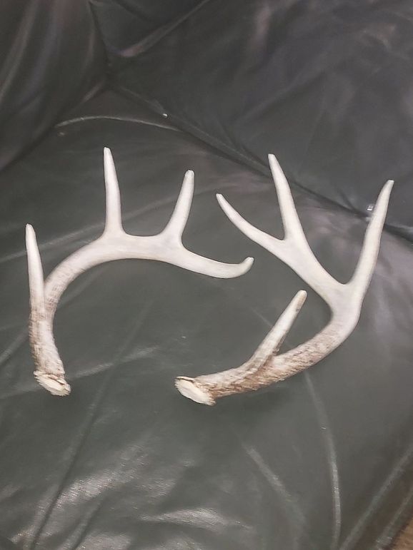 Resized_20220610_112514