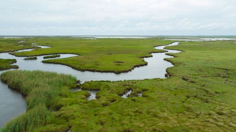 Cameron Parish LA 3,556 Pro Photo-100