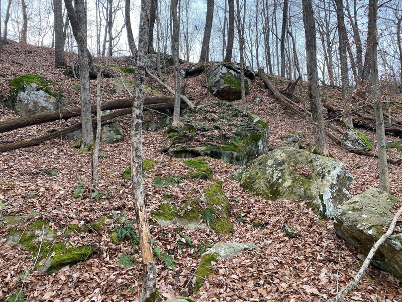 001 beautiful rock features on a north facing slope copy