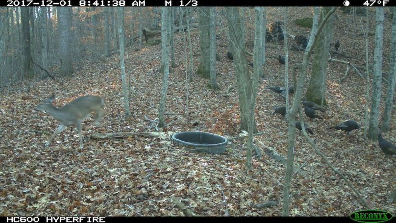 2017-12-01 08-41-38 M 1_3