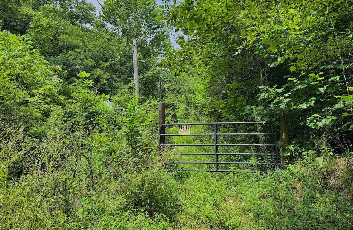 004 the gated entrance leading into the property