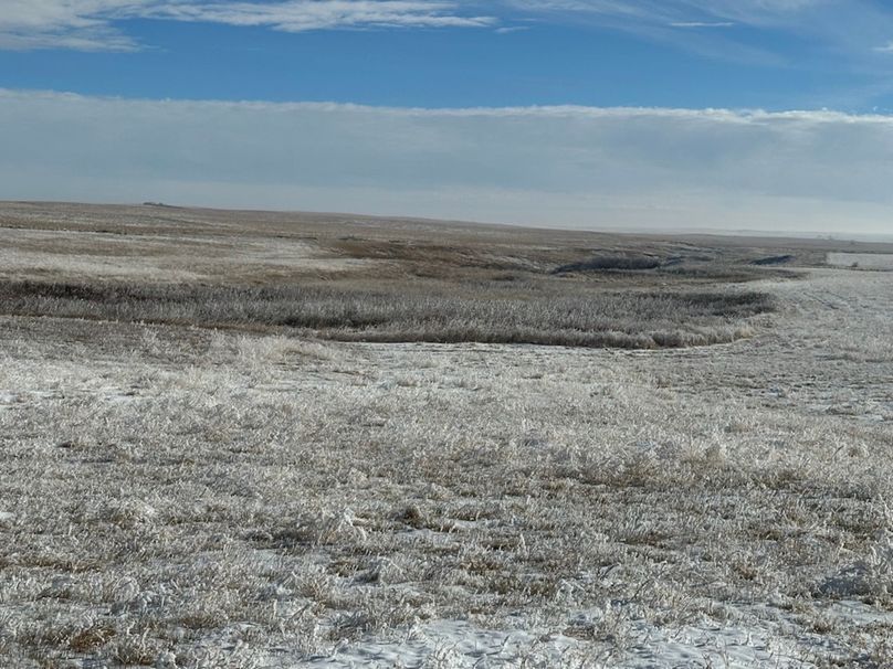 AF0DFEE8-39AD-492C-98A4-6AFAE0636D00_1_105_c