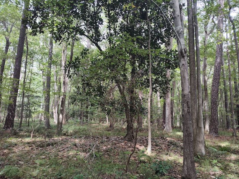 IMG_20250830_133732434