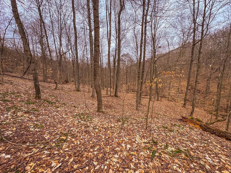 Tyler, WV 90 AC Burkhart-20