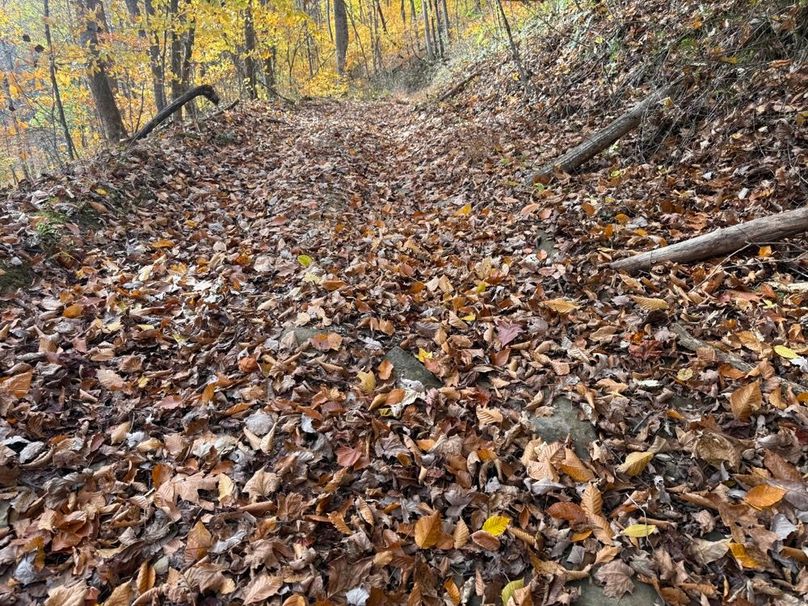 007 Existing access road providing a good bedding for most of the the property_s interior-2