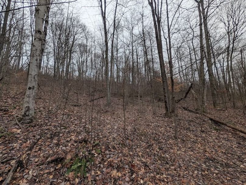 PXL_20260107_211404312