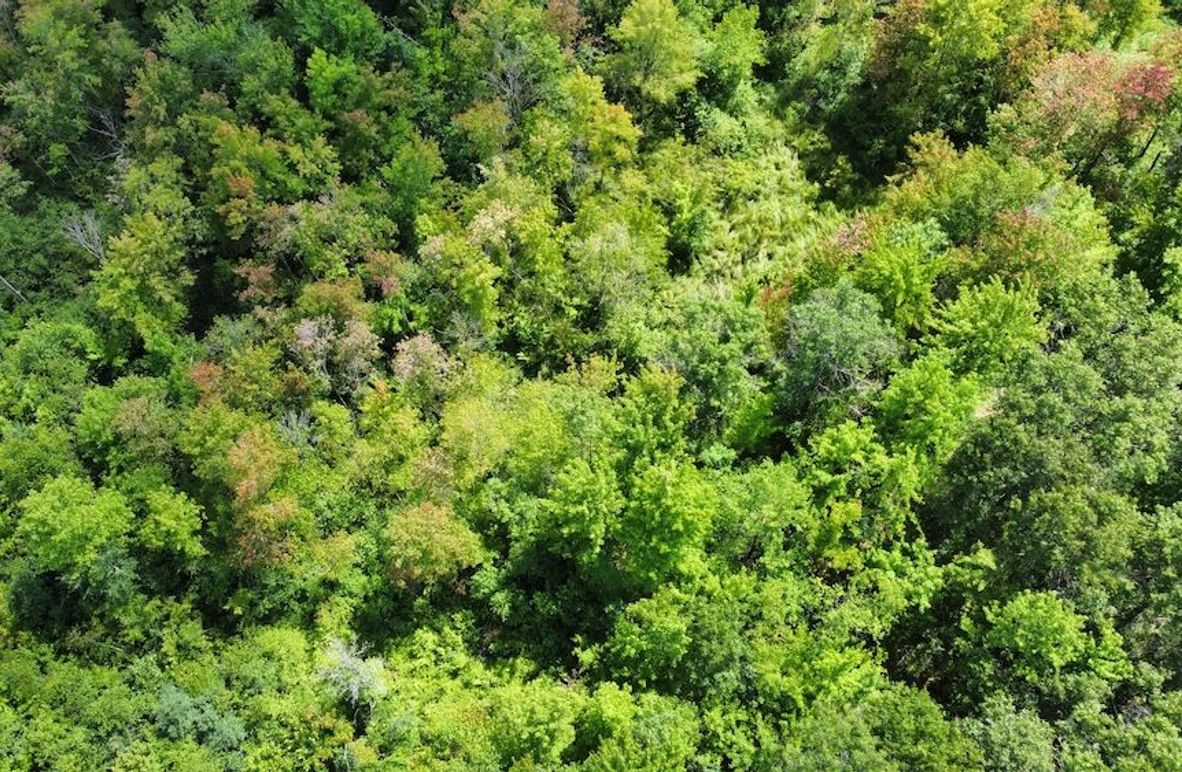 dji_fly_20240708_150222_259_1720541073017_photo_optimized