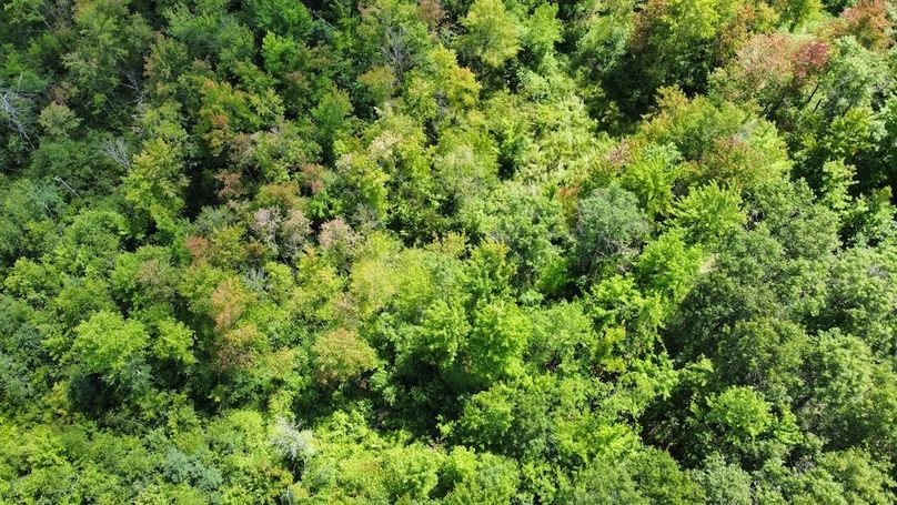 dji_fly_20240708_150222_259_1720541073017_photo_optimized