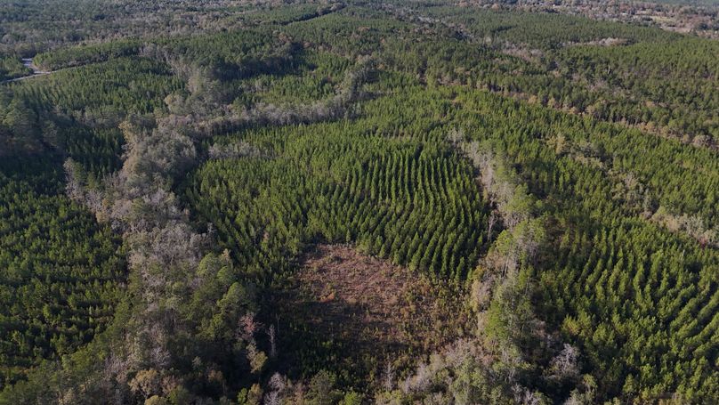 DJI_20231213151550_0014_D