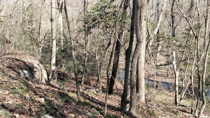 IMG_20170226_114526886