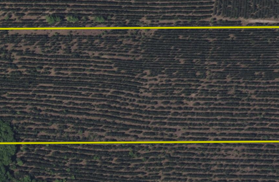 Screen Shot 2025-05-01 at 2.07.10 PM