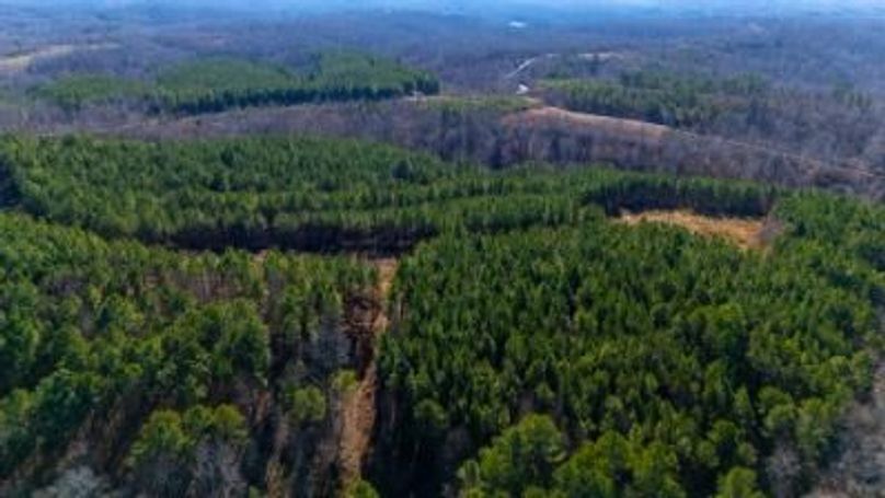 mckinnon tract 14-06