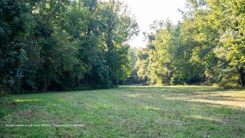 Tallahatchie 847 Messina-25