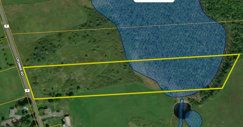 Schoharie Co 10.96 Delsey Properties Wetlands