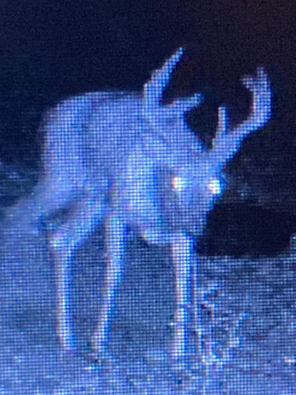 7CD07DA1-9DDC-46CD-8CE9-46A5C45B91E7