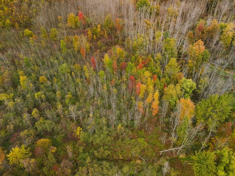 Wayne_29.09_BD_LandNorth_Parcel_19