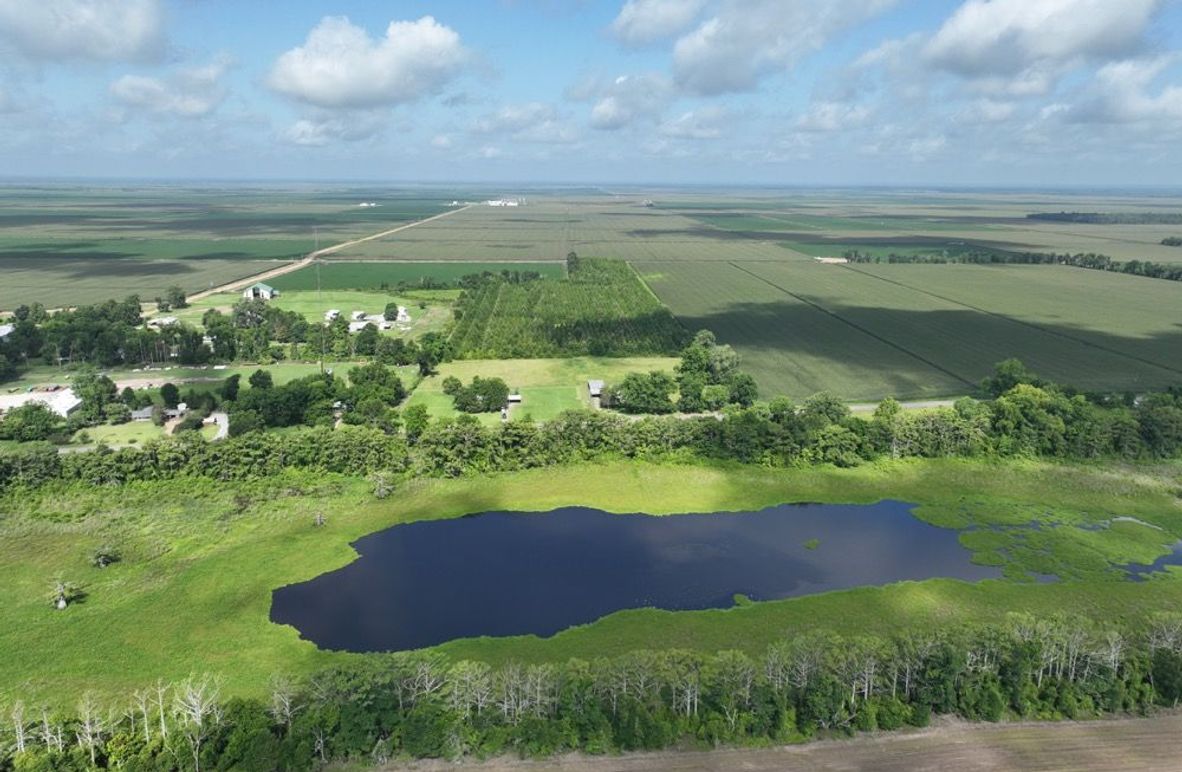 dji_fly_20250620_095626_3_1750611710038_photo