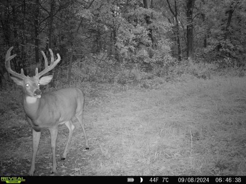 860322061934193-100-4-09082024064638-W1007006