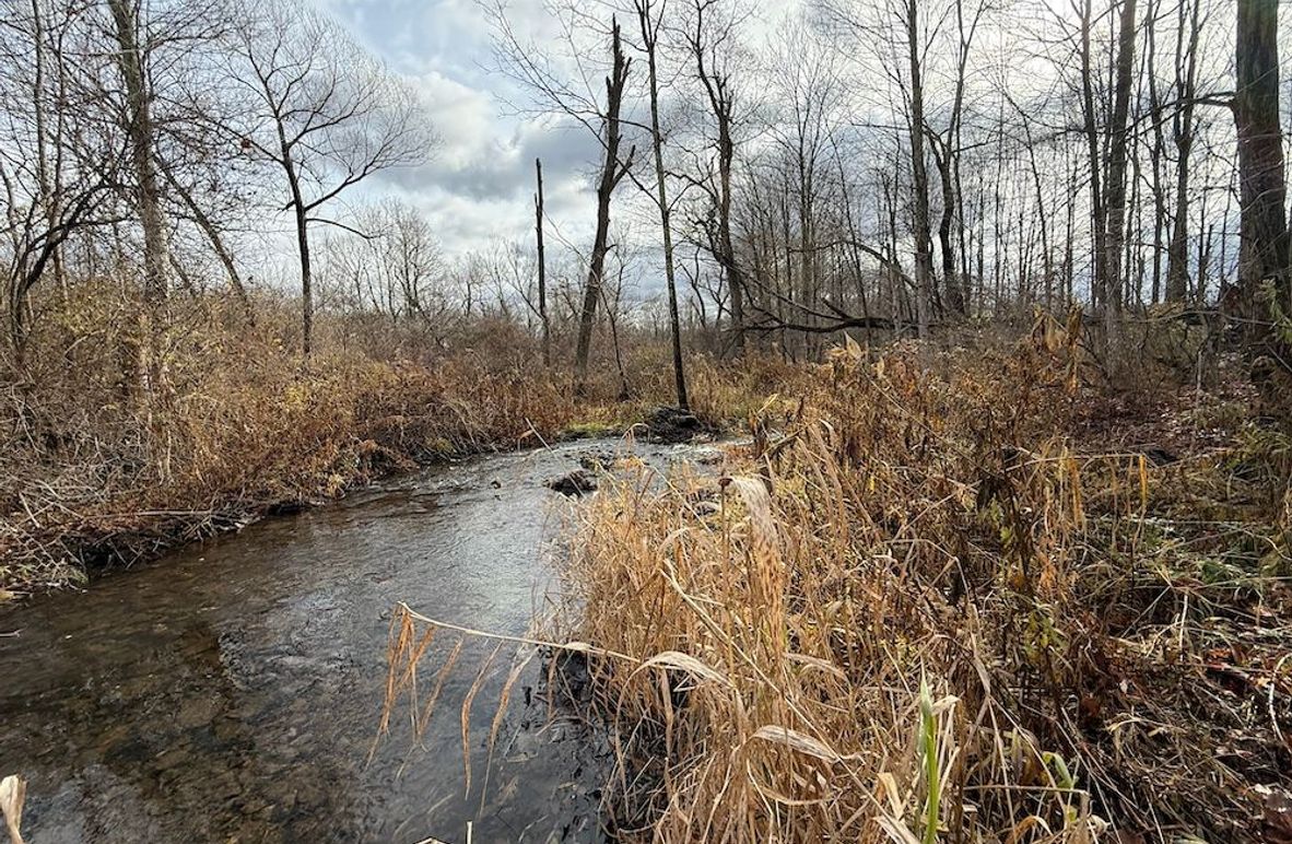 Tompkins_15.15_Galarza Photo 3