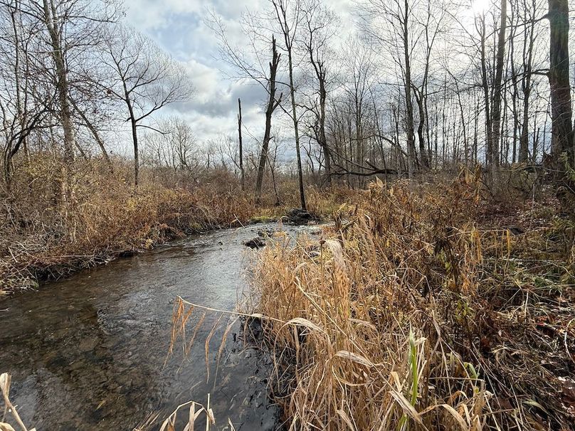 Tompkins_15.15_Galarza Photo 3