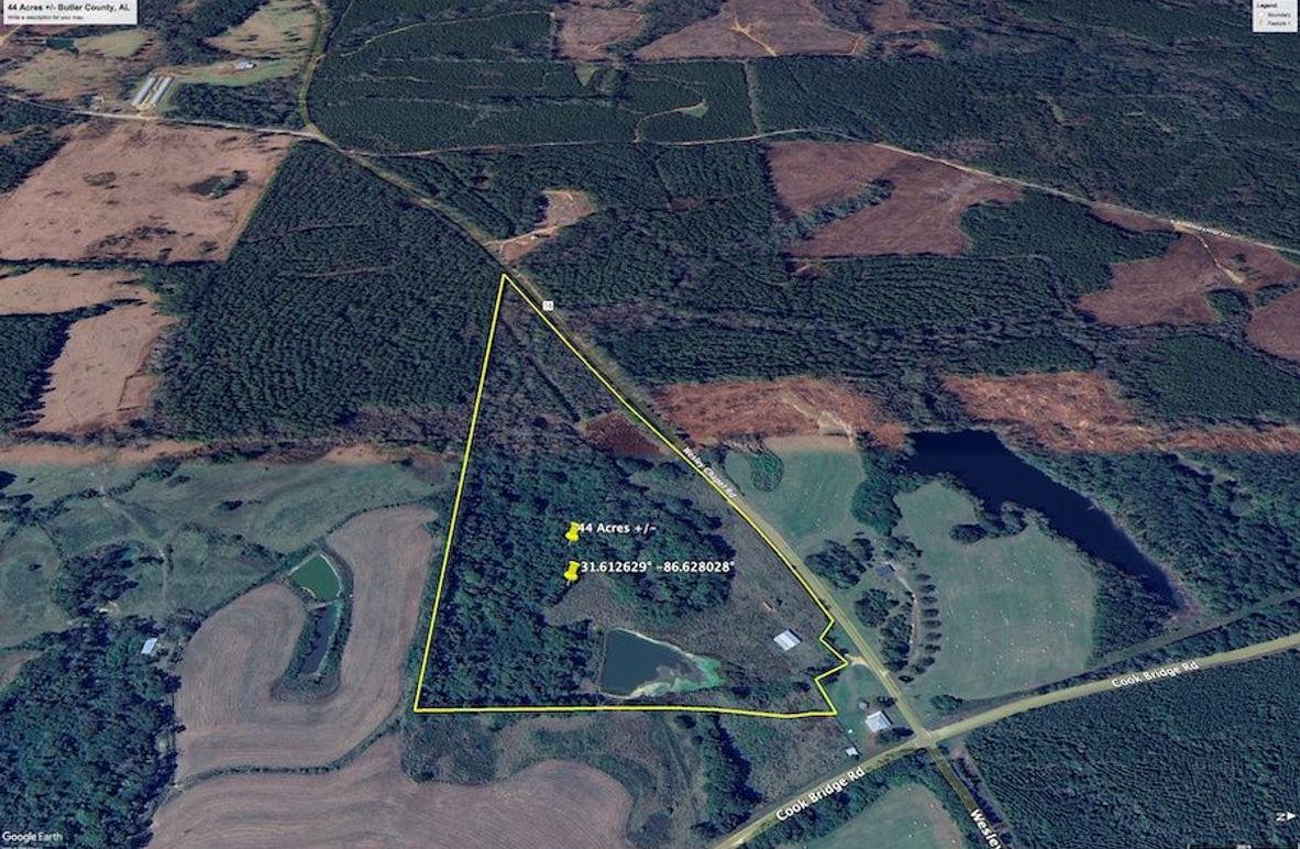 Aerial #5 Approx. 44 Acres Butler County, AL