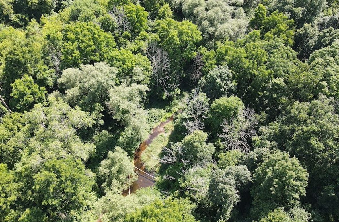 5 dji_fly_20250713_160308_87_1752437021865_photo