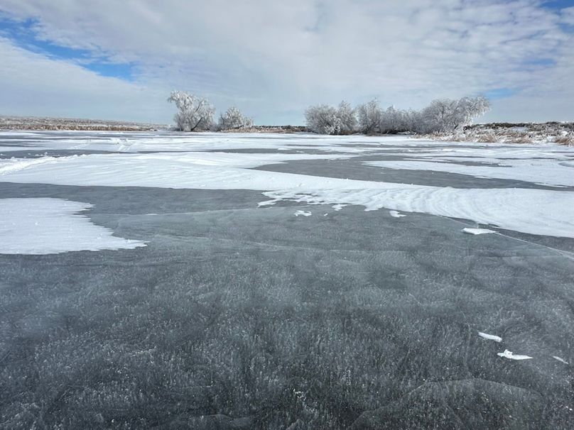 95679B93-1E52-471F-99AF-54E8E6B54F87_1_105_c