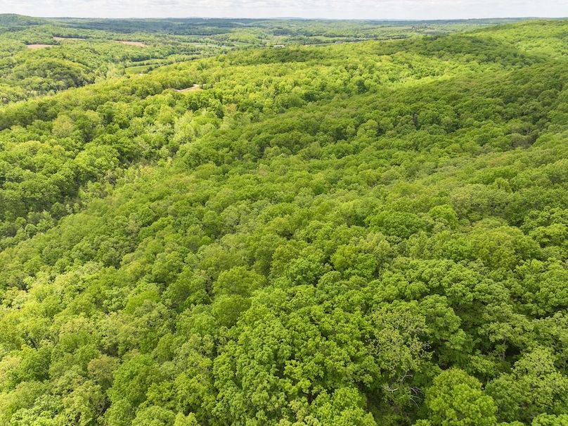 DJI_20250506124807_0233_D