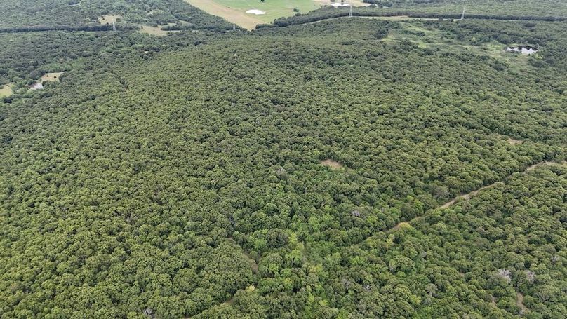 DJI_20240717152159_0007_D