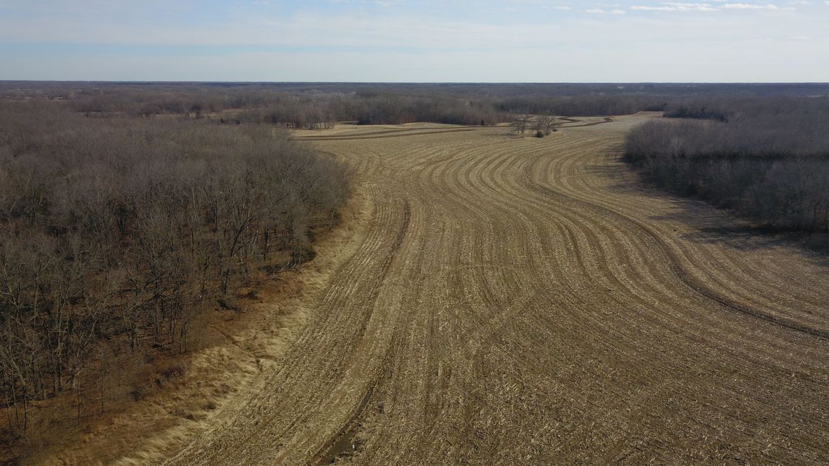 Hunting Land With Tillable For Sale Near Monroe City Whitetail