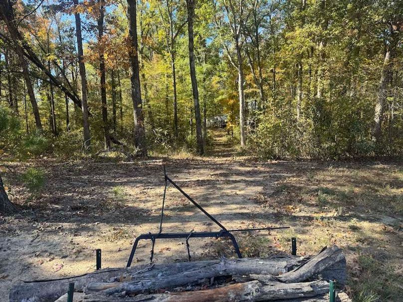 jeff 5020251111_0310