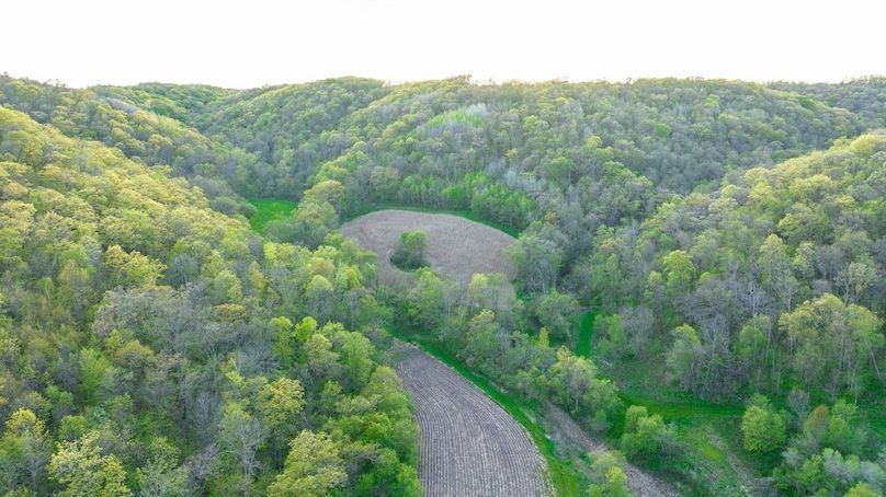 DJI_0333