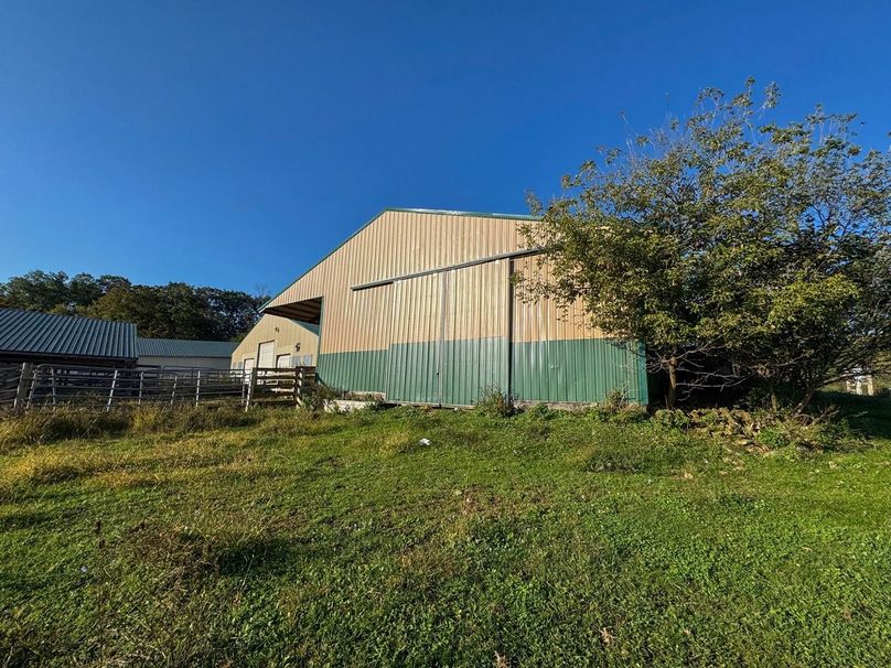 Monroe 5.31-20 Large