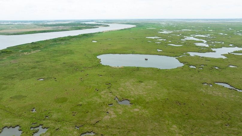 Cameron Parish LA 3,556 Pro Photo-86