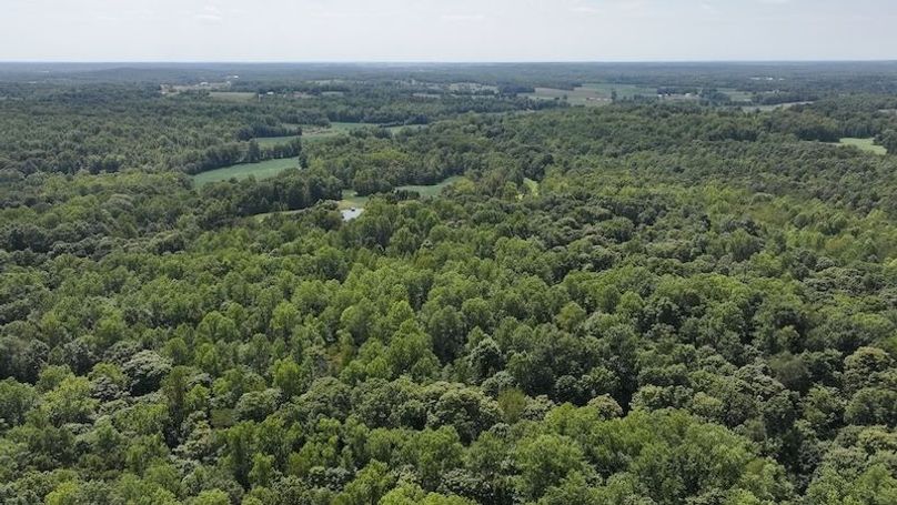 dji_fly_20240904_132806_0371_1725471195544_photo