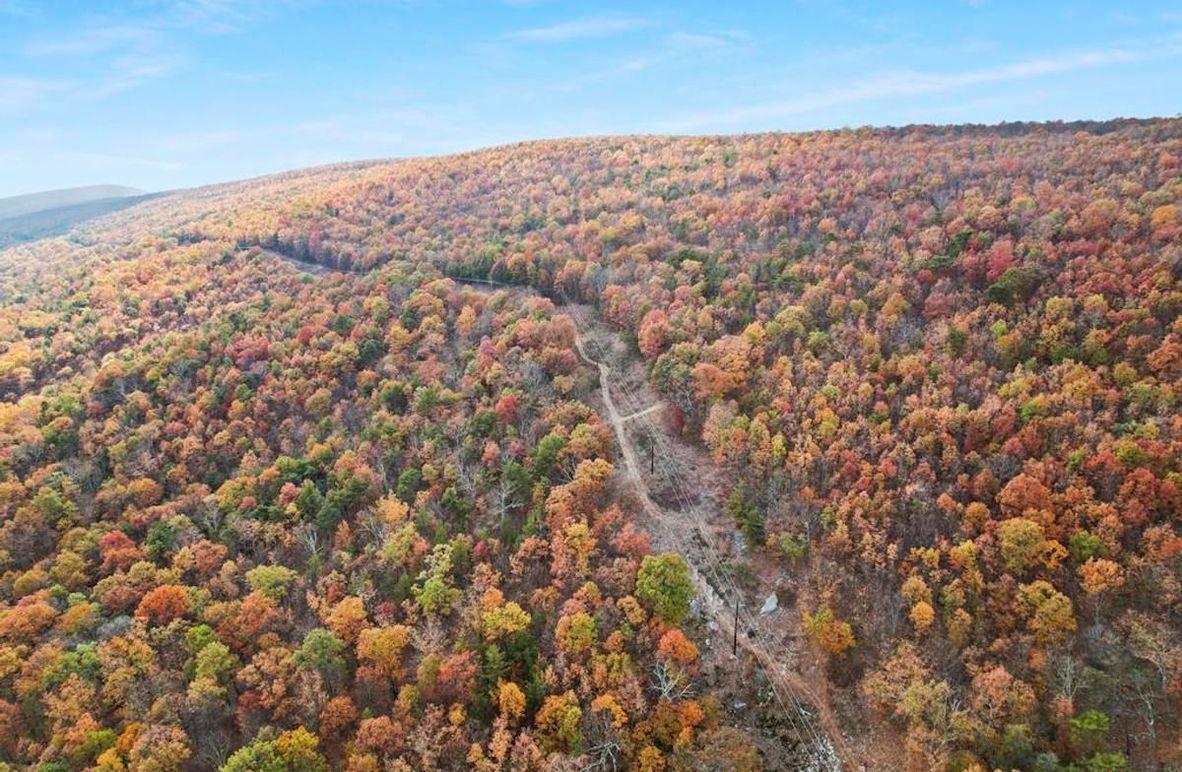 DJI_0462