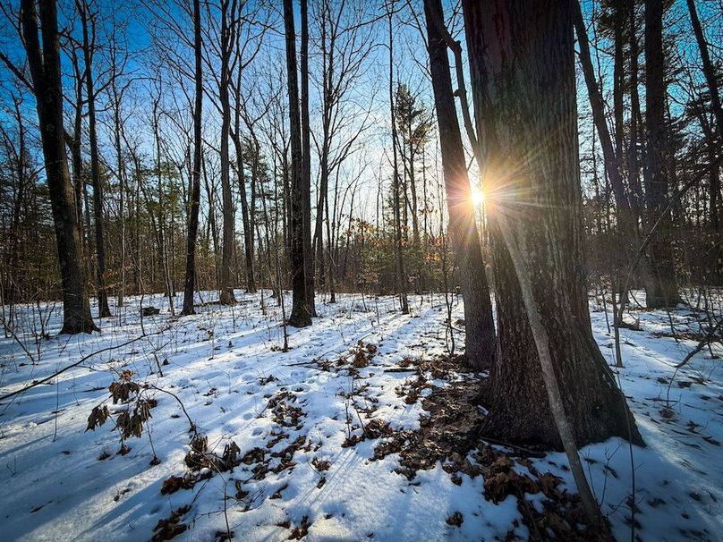 Seneca_43_Hohwald_Photos_10