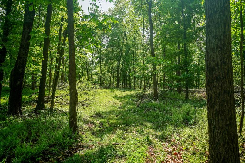 York 86 Ground Photos-09