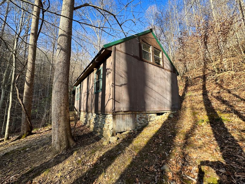 022 south end of the cabin
